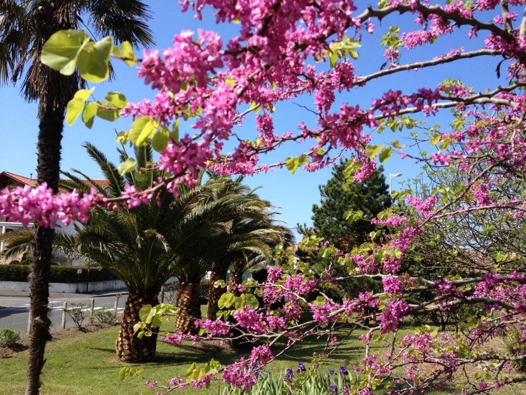 Hotel Bellevue Hendaye Bagian luar foto
